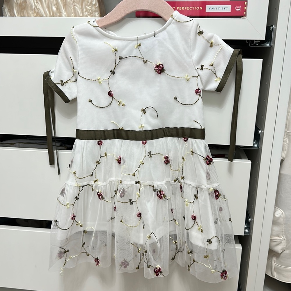 Beautiful embroidery dress